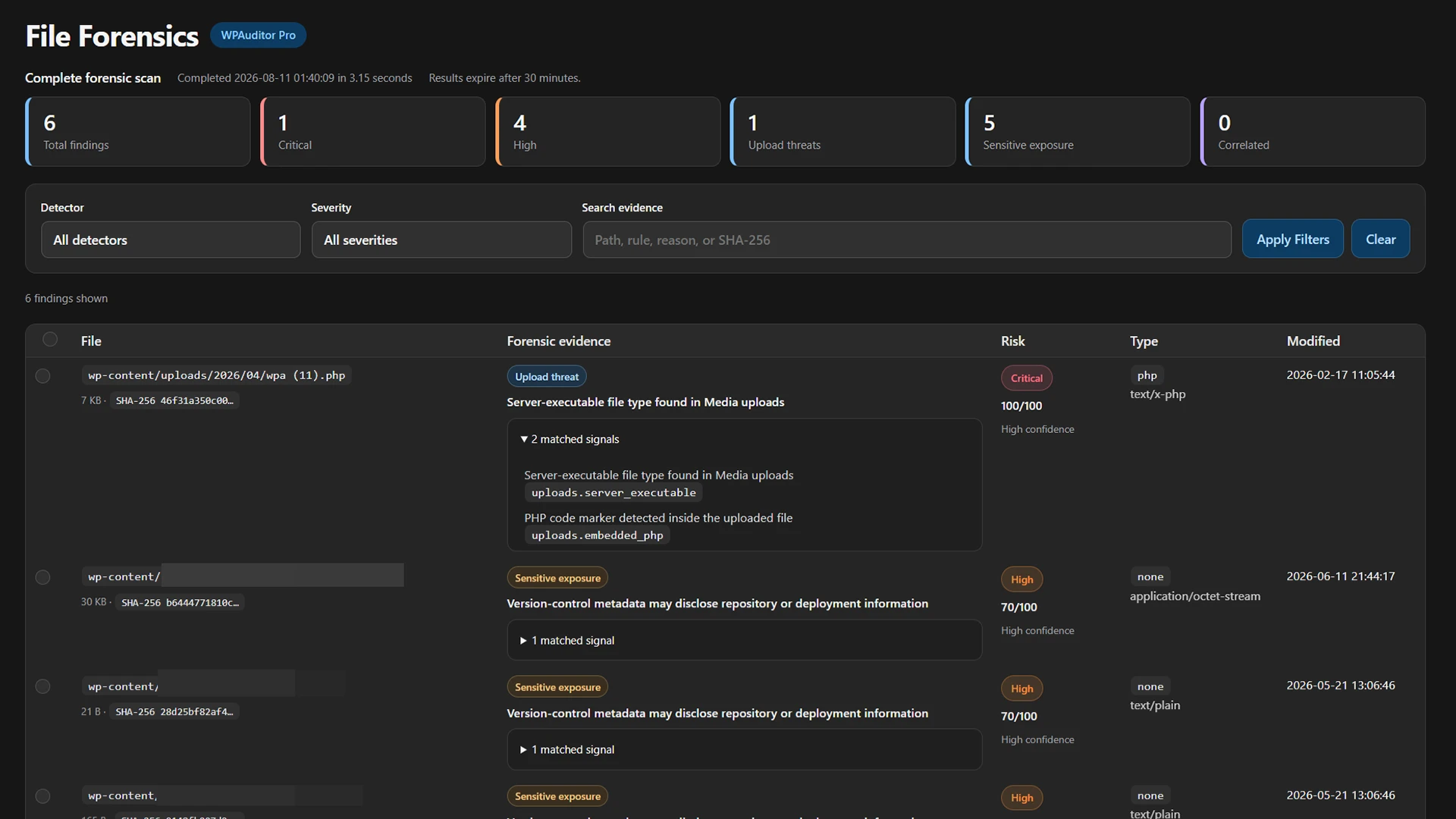 WPAuditor File Forensics interface showing scan findings, upload threats, sensitive file exposure, detector evidence, SHA-256 details, and risk scores